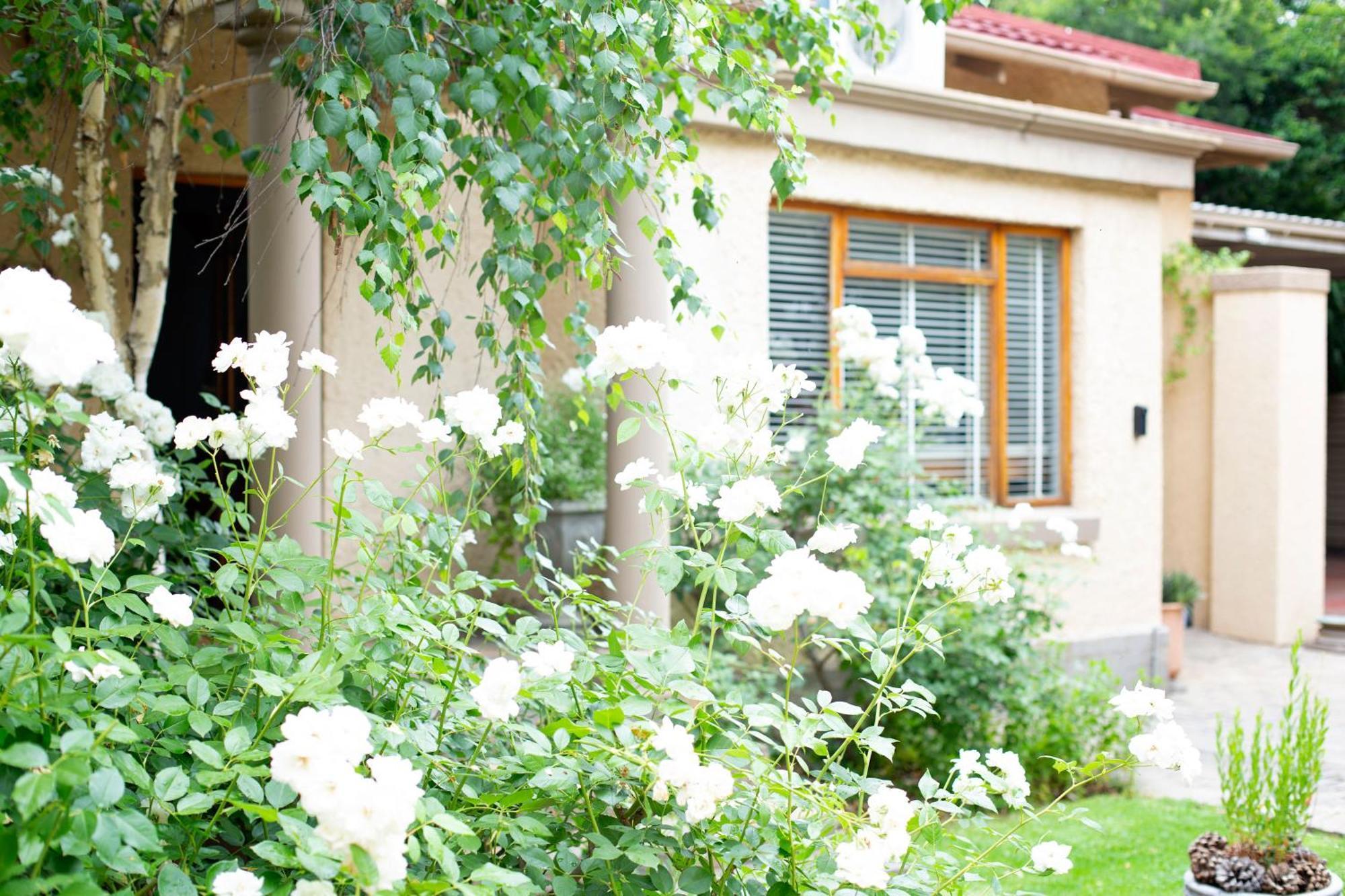 Crisp Guest Rooms Bloemfontein Zewnętrze zdjęcie